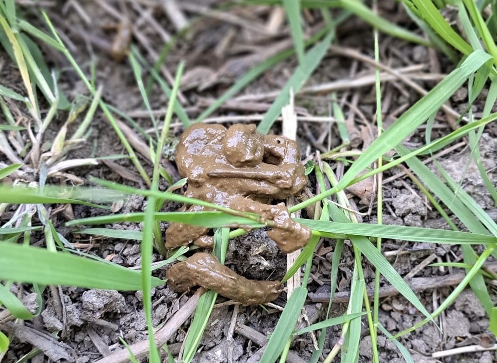 Find a Job that Makes You Happy